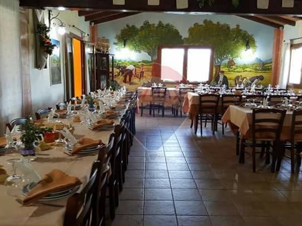 Attività  Commerciale Olbia, SS Vendita