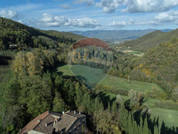 Cascina/Casale Borgo San Lorenzo, FI Vendita - Foto 3