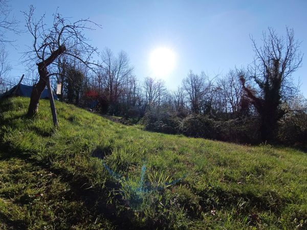 Casa Semindipendente Altare, SV Vendita - Foto 4