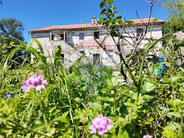 Rustico Polverigi, AN Vendita - Foto 2