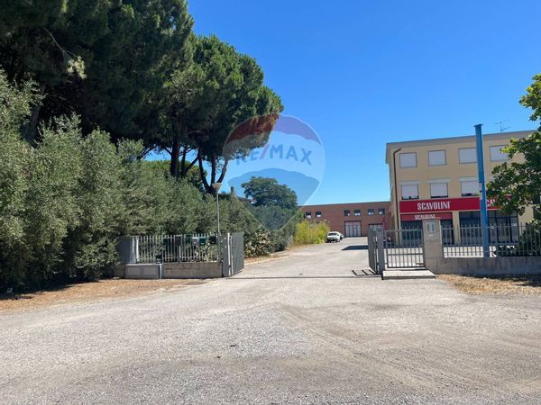 Locale Commerciale Albinia, Orbetello, GR Affitto