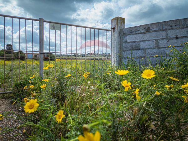 Terreno Sorso, SS Vendita - Foto 4