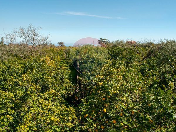Rustico Sant'Anna, Mascali, CT Vendita - Foto 4