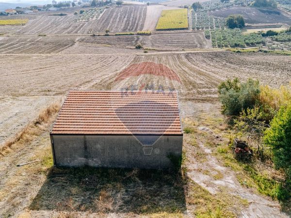 Casa Indipendente Montalfano, Cupello, CH Vendita - Foto 4