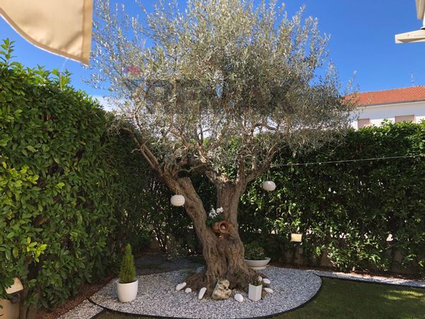 Casa Semindipendente Zona Ospedale, Pescara, PE Vendita - Foto 3