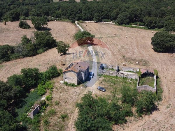 Cascina/Casale Formello, RM Vendita - Foto 4