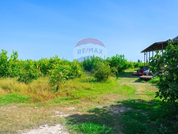 Terreno Policoro, MT Vendita - Foto 2