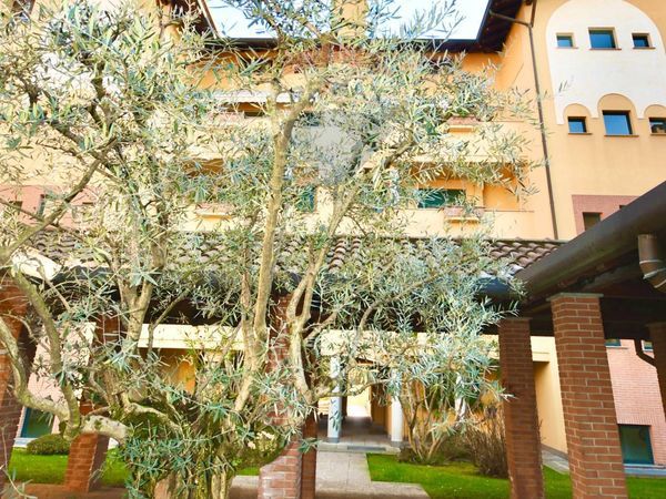 Duplex San Vittore Olona, MI Vendita - Foto 2