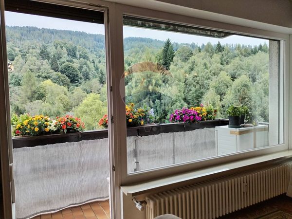 Appartamento Nevegal, Belluno, BL Vendita