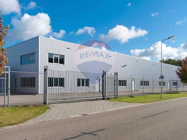 Capannone Industriale Varignano, Viareggio, LU Vendita