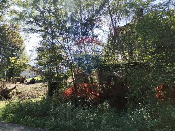 Casa Indipendente Anzaven, Cesiomaggiore, BL Vendita - Foto 4