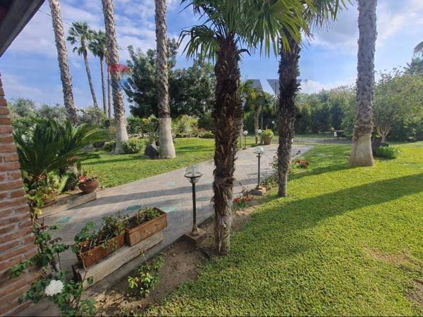 Villa o villino Belpasso, CT Vendita - Foto 4