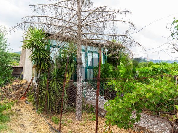 Casa Indipendente Zafferana Etnea, CT Vendita