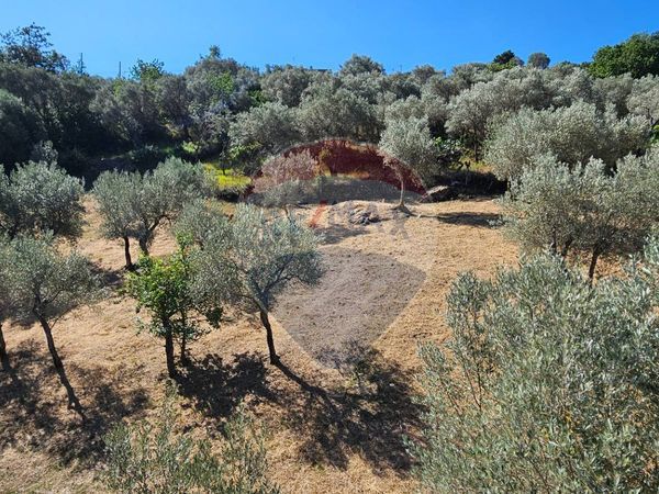 Casa Indipendente Alcara li Fusi, ME Vendita - Foto 2