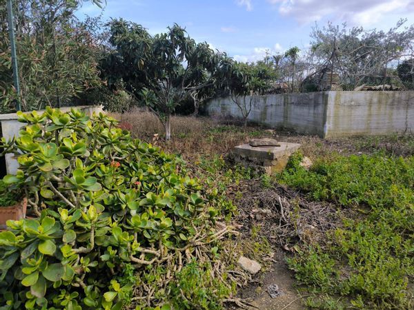 Casa Indipendente Valderice, TP Vendita - Foto 2