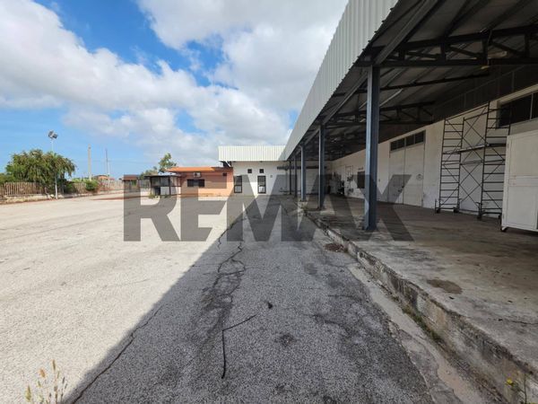 Capannone Industriale Borgo San Donato, Sabaudia, LT Vendita - Foto 2
