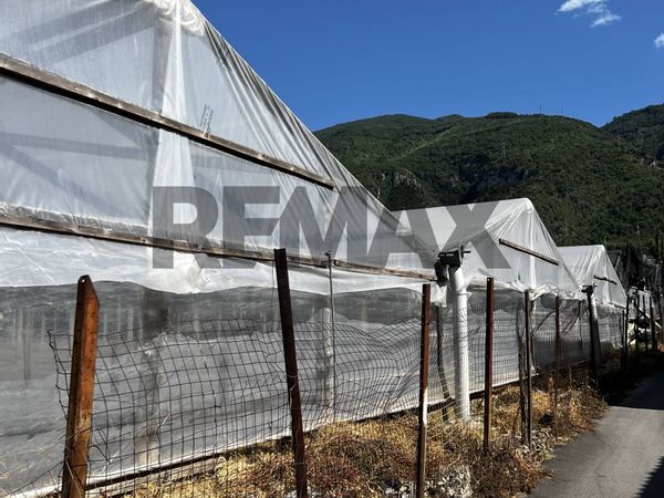 Terreno Sant'Antonio Abate, NA Vendita - Foto 3