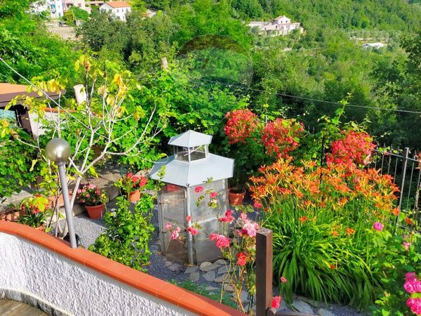 Casa Indipendente Testico, SV Vendita - Foto 4