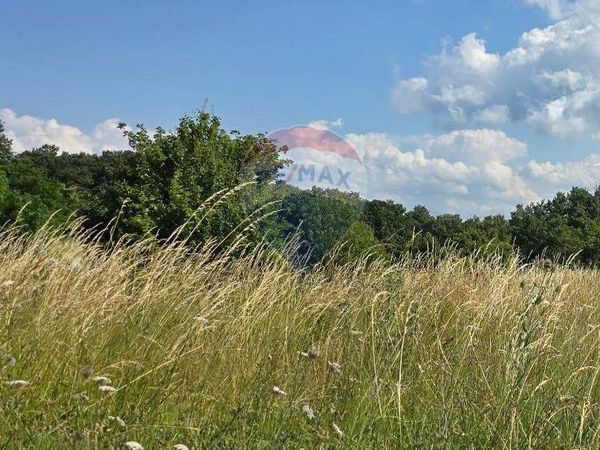 Terreno Edificabile Roccaraso, AQ Vendita - Foto 3