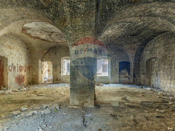 Casa Indipendente Noicattaro, BA Vendita - Foto 4