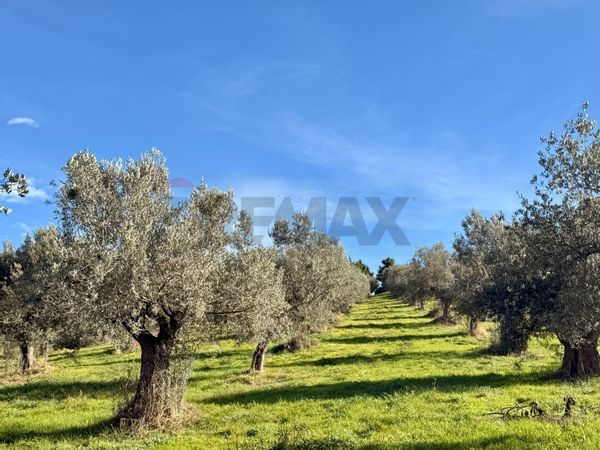 Terreno Edificabile Montesilvano, PE Vendita - Foto 3