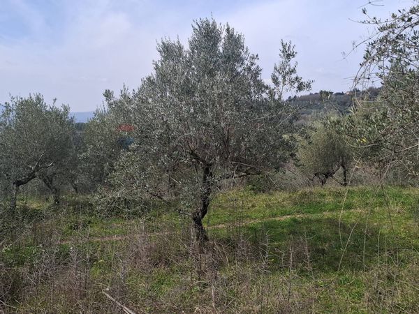 Terreno Casabiondo, Castelfranco Piandiscò, AR Affitto