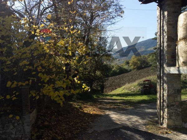 Cascina/Casale Vaccarezza, Bobbio, PC Vendita - Foto 4