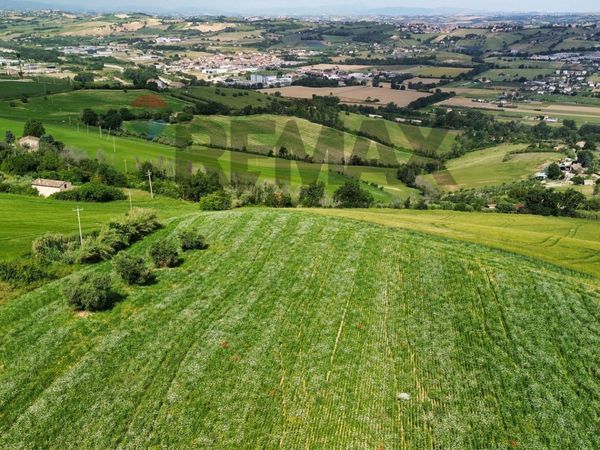 Terreno Edificabile Fermo, FM Vendita