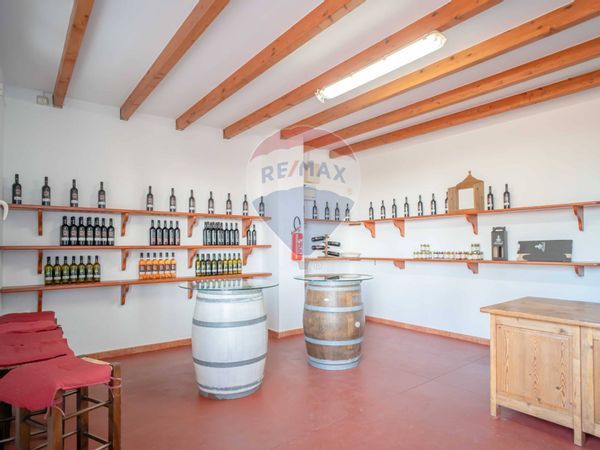 Azienda Agricola Copertino, LE Vendita - Foto 2