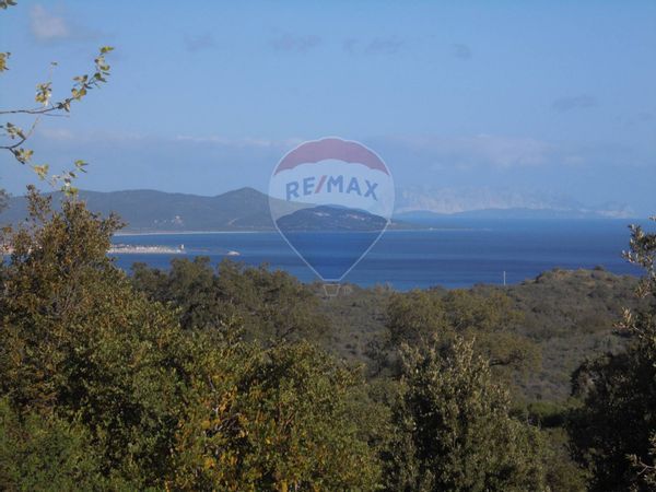 Altro Siniscola, NU Vendita - Foto 3