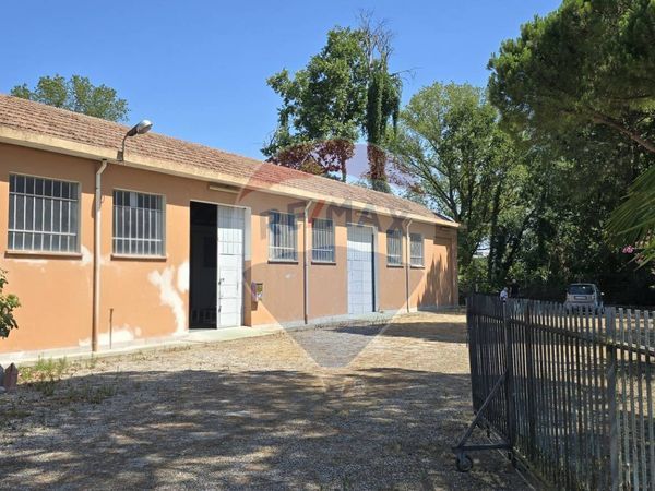 Capannone Industriale Santa Maria Maddalena, Occhiobello, RO Affitto - Foto 3