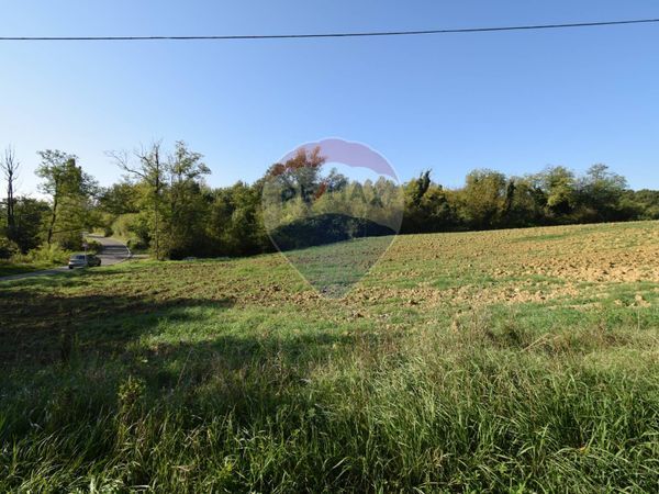 Terreno Talignano, Sala Baganza, PR Vendita - Foto 2