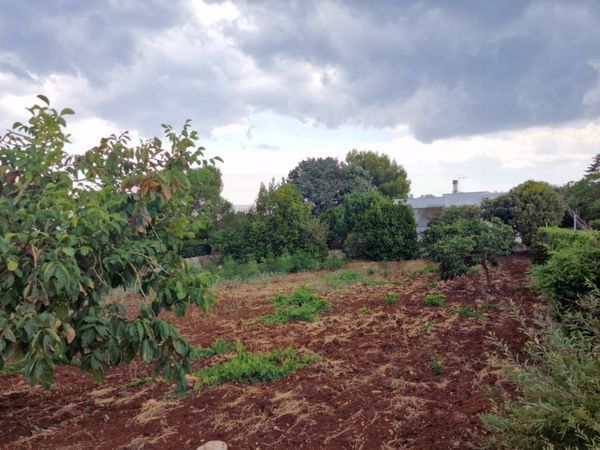 Villa singola Ostuni, BR Vendita - Foto 2
