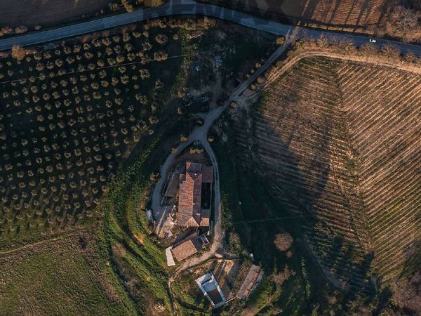 Cascina/Casale Torrita di Siena, SI Vendita - Foto 4