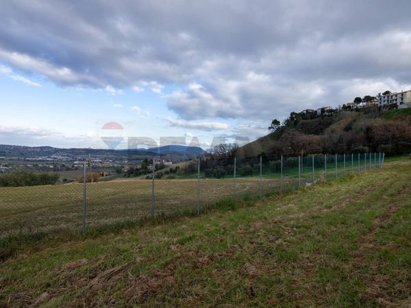 Terreno Edificabile Loreto, AN Vendita - Foto 3