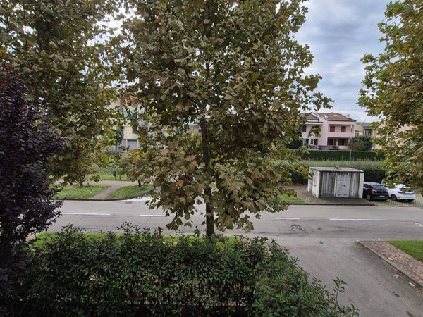 Appartamento Collecchio, PR Affitto - Foto 3