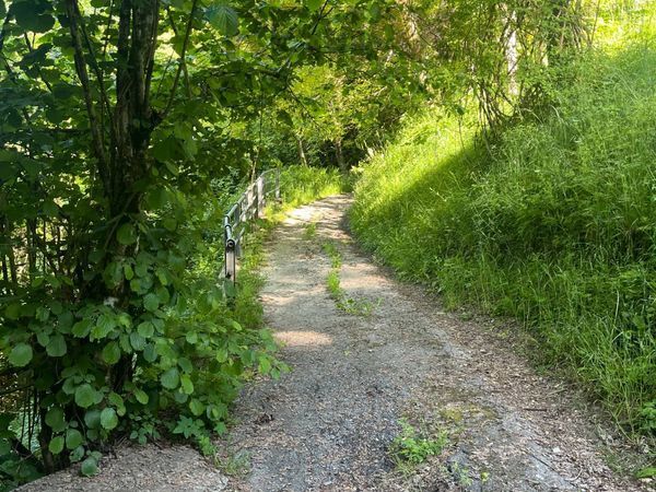 Casa Indipendente Conio Avena, Rondanina, GE Vendita - Foto 2