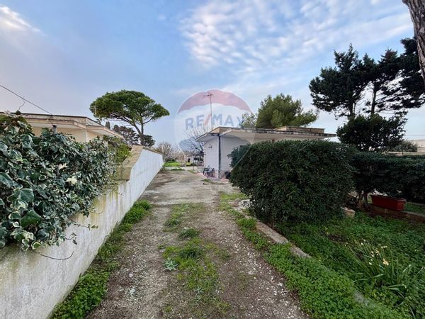 Cascina/Casale Lendinuso, Torchiarolo, BR Vendita - Foto 3