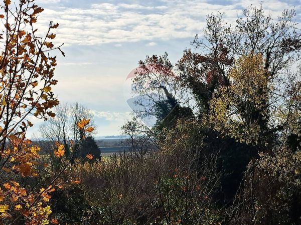 Rustico Favaro Veneto, Venezia, VE Vendita - Foto 4