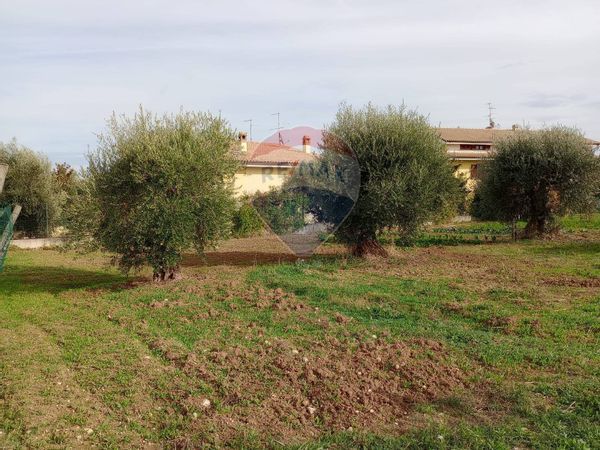 Terreno Edificabile Villa Oliveti, Rosciano, PE Vendita - Foto 3