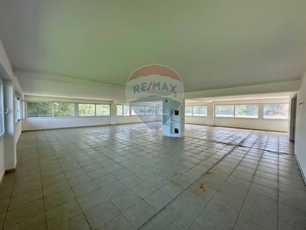 Locale Commerciale Selvaggio, Ragusa, RG Affitto