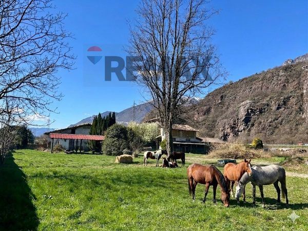 Casa Indipendente Darfo Boario Terme, BS Vendita