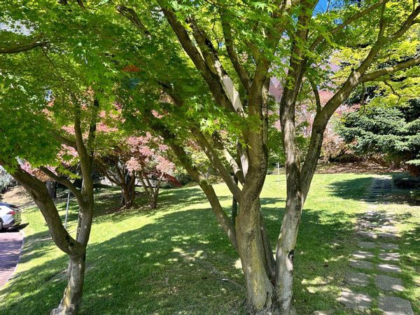 Appartamento Zona Montello, Varese, VA Vendita - Foto 3