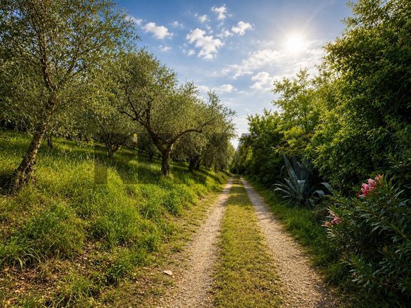 Villa singola Arquà Petrarca, PD Vendita - Foto 3