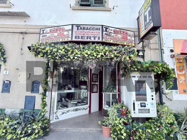 Attività  Commerciale San Romano, Montopoli in Val d'Arno, PI Vendita