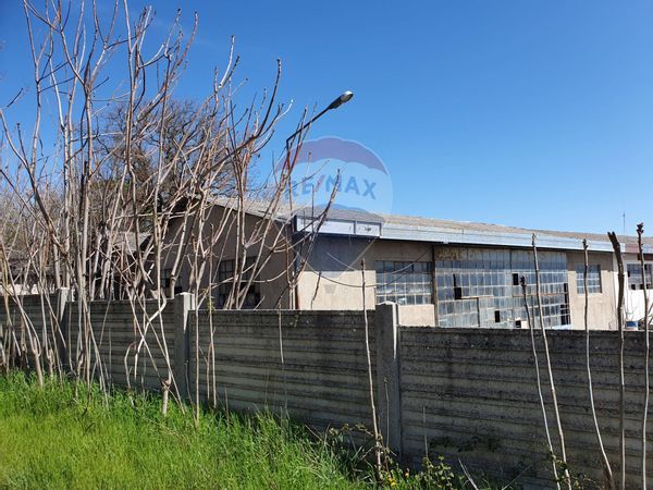 Commerciale Altro Avezzano, AQ Vendita - Foto 3