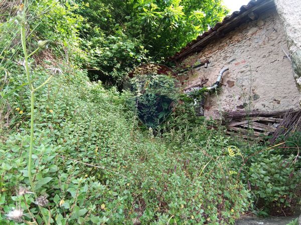 Casa Semindipendente Pallare, SV Vendita - Foto 4