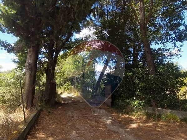 Terreno Sicignano degli Alburni, SA Vendita - Foto 3