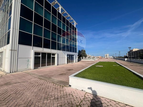 Ufficio Japigia, Bari, BA Affitto