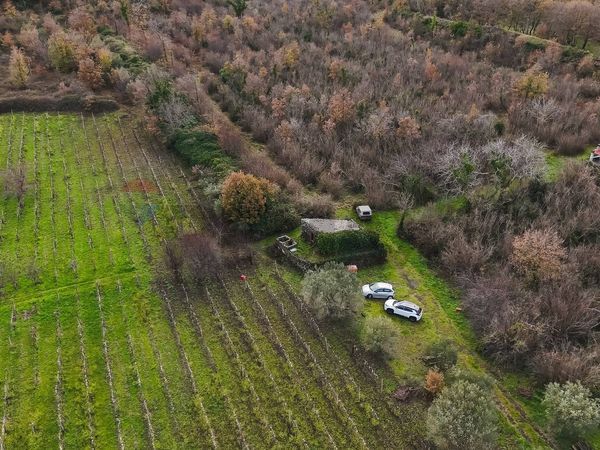 Terreno Edificabile Montelaguardia, Randazzo, CT Vendita - Foto 4